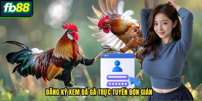 Hướng dẫn đăng ký và tham gia đá gà thomo trên FB88